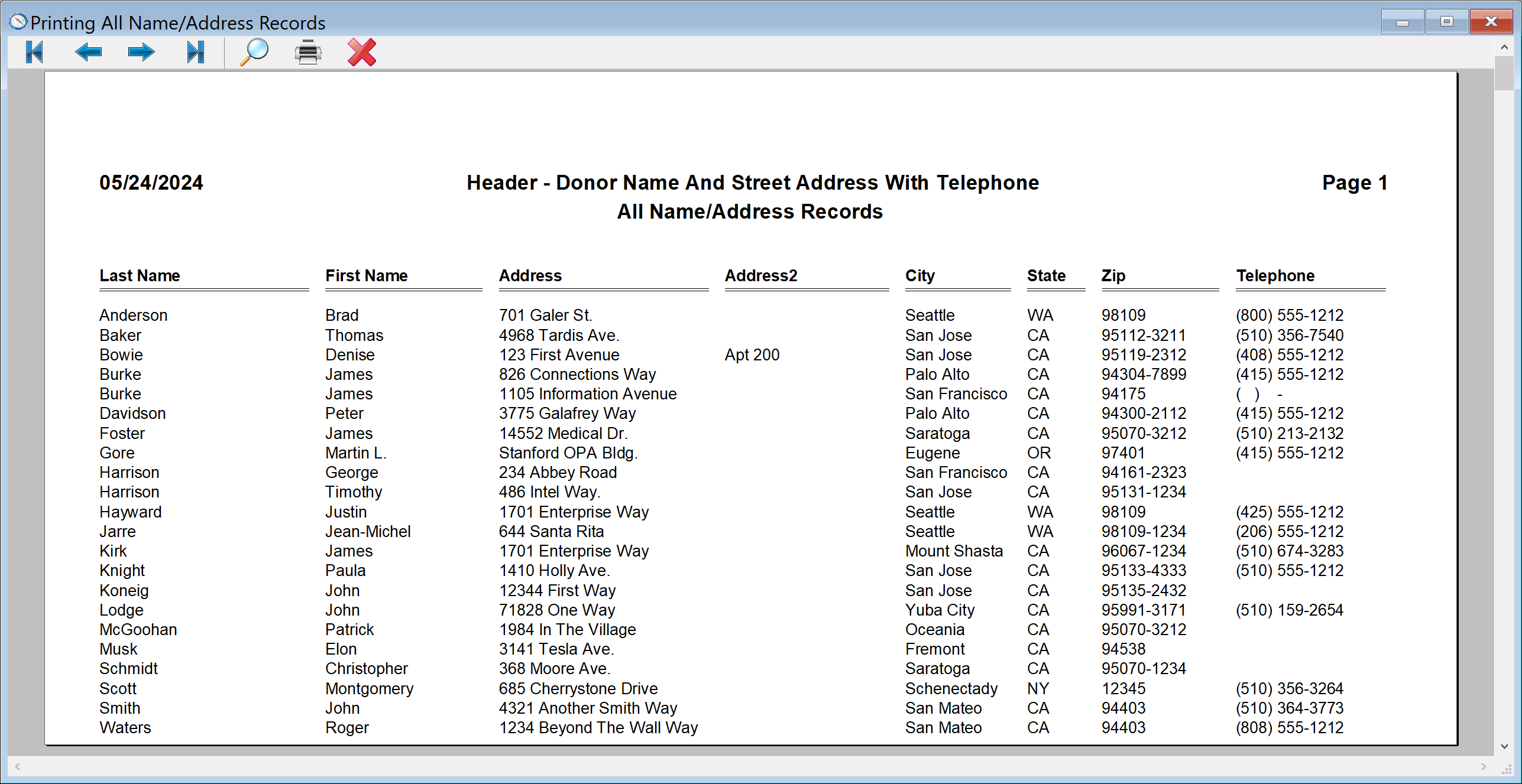 DonorQuest Reports Menu - Report Setup - Preview of custom report